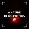 Natural Sample Makers, Natural Sound Makers & Nature Recordings - Sunset Nature Hike - EP